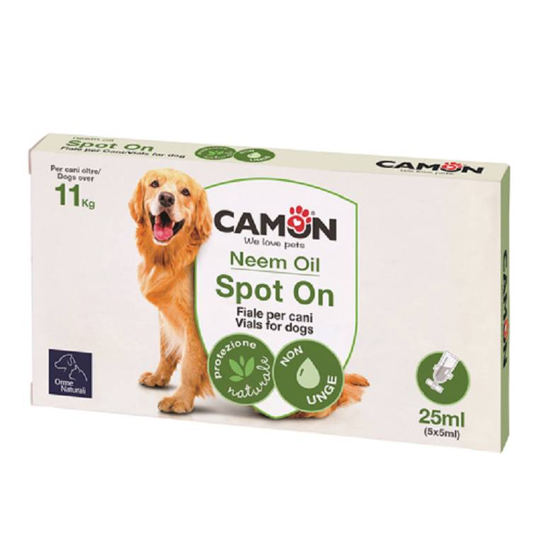 PROTECTION SPOTON CANE >10 5X5